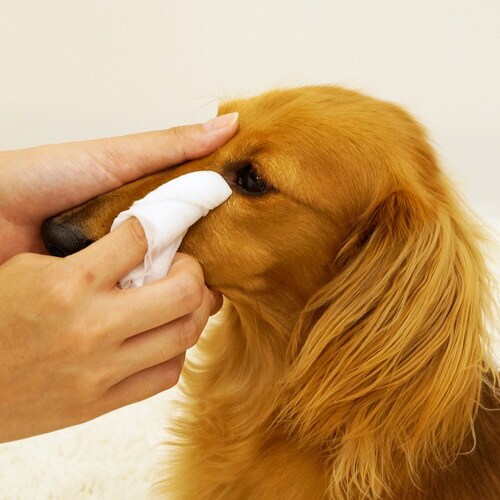 Kireiにしてね リッチプラス 目・涙