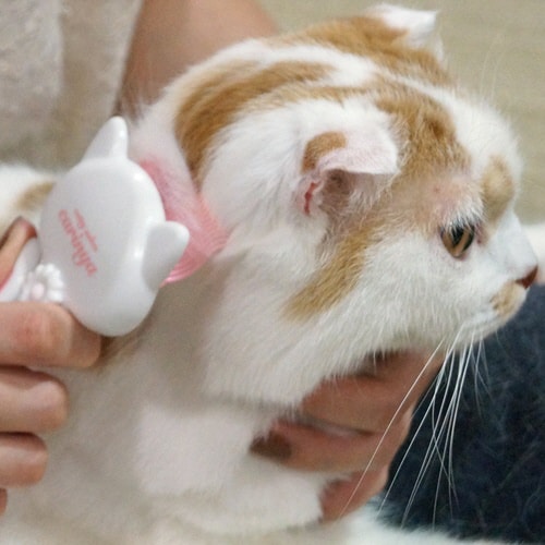 CC にゃめらかコーム