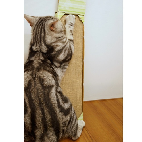 スッキリ麻のつめみがき