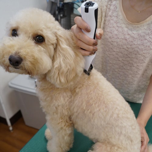 ホームバーバー エキスパートスタイル