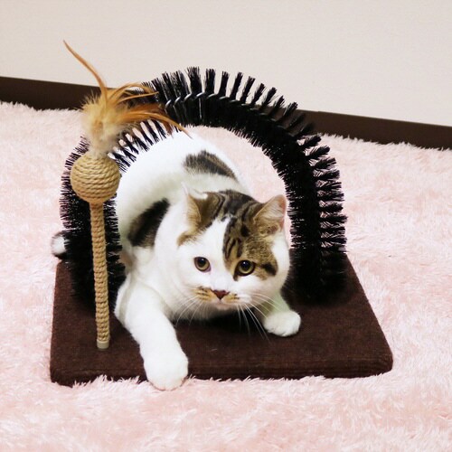 モダンルーム 毛づくろいブラシ