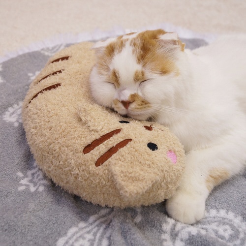 あごのせ猫枕 とらニャン