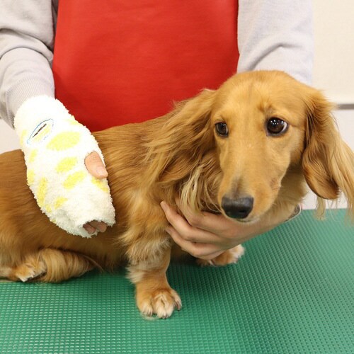 DW ナデナデわんブラシ