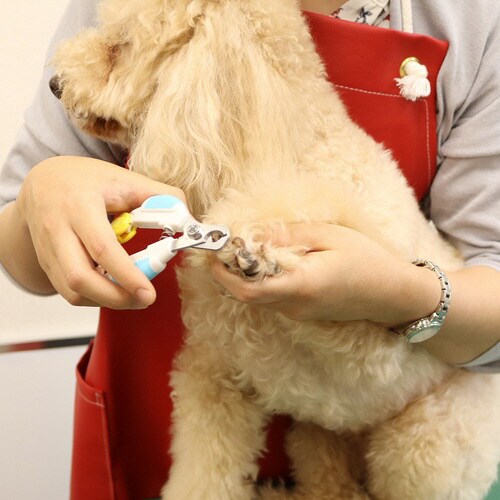 DW わんカーブ爪切り