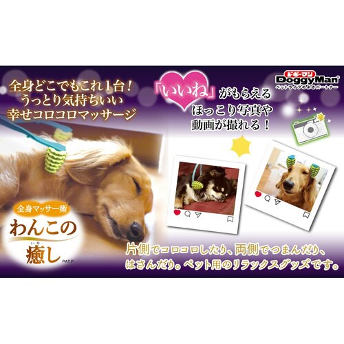 全身マッサー術 わんこの癒し