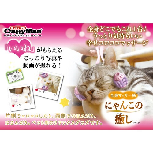 全身マッサー術 にゃんこの癒し