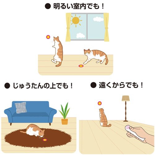 じゃれ猫 レーザーニャンだろー?!光線