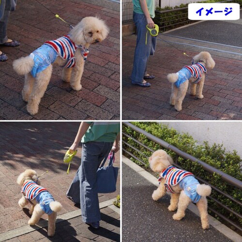 ジーンズ風パンツ M