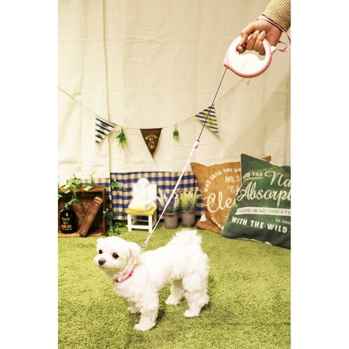 ドギーウォーカースター ピンク