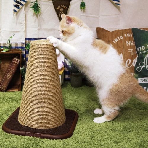 モダンルーム スクラッチにゃポスト