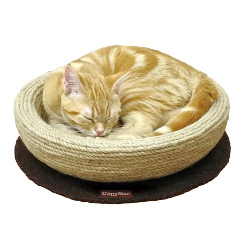 モダンルーム ナチュラルにゃベッド