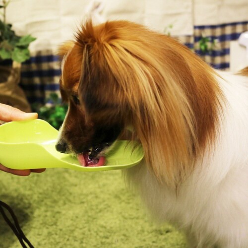 シャワー付き ハンディドリンカー