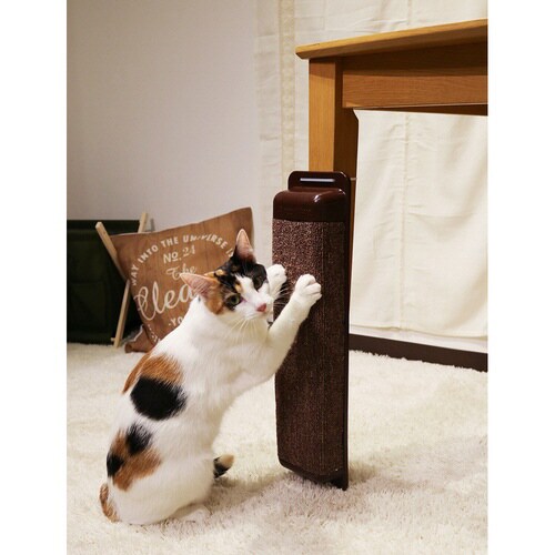 モダンルーム ハッスルスクラッチ