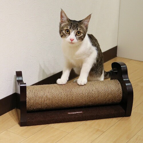 モダンルーム ローリングスクラッチ