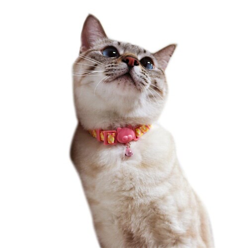 ねこくびわ ル・コリエ ポップ ボンボン