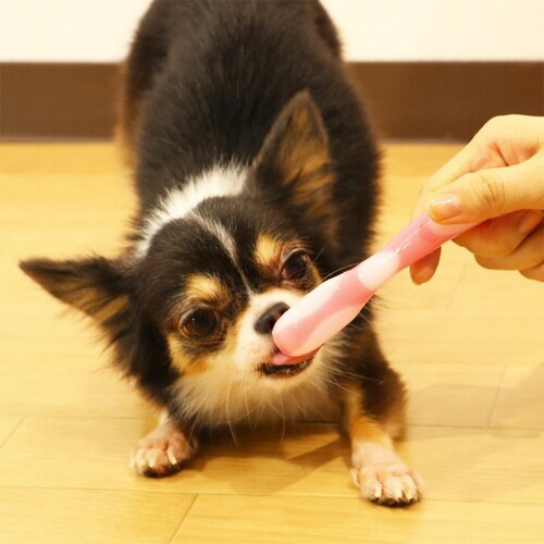 やわらかデンタトーイ ブラシ