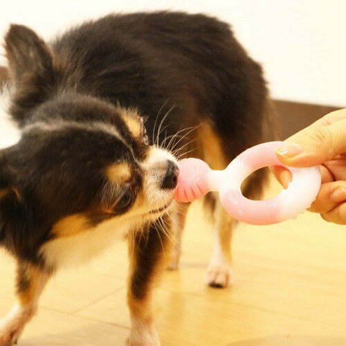 やわらかデンタトーイ リング