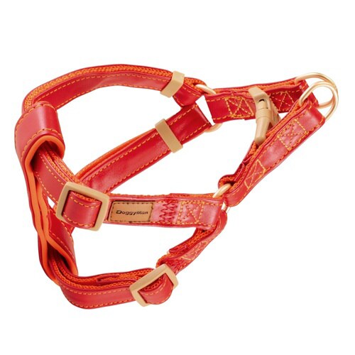 Doggys Tailor いぬのどうわ