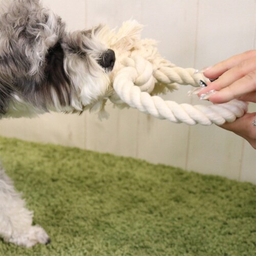 コットンリング