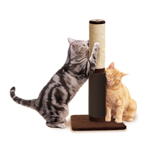 モダンルーム ねこすり爪みがきポール