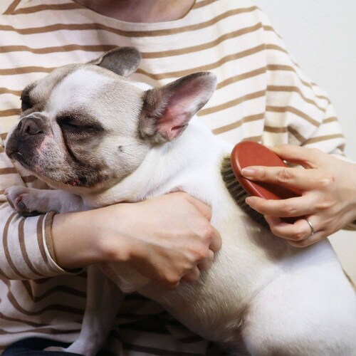 NSD 木製小判型ツヤ出しブラシ