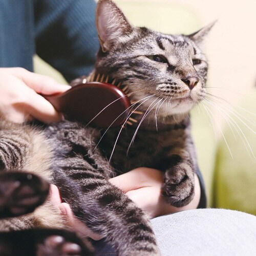 NSC 木製ピンブラッシングブラシ