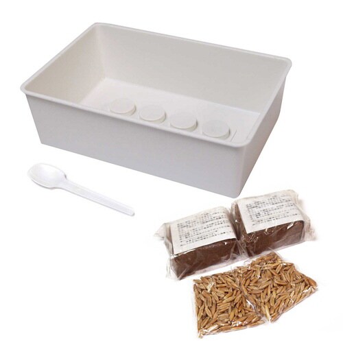 おうちで育てる 猫の生野菜 2回分