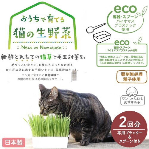 おうちで育てる 猫の生野菜 2回分