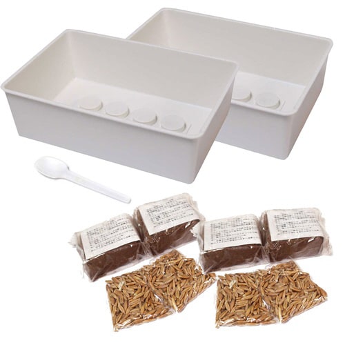 おうちで育てる 猫の生野菜 4回分