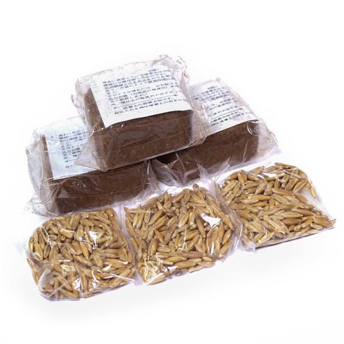 おうちで育てる 猫の生野菜 種と土