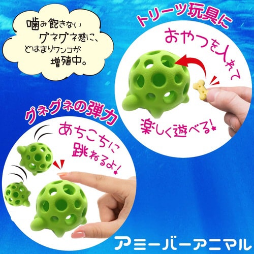 アミーバーアニマル カメ