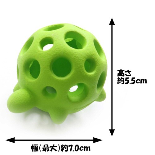 アミーバーアニマル カメ