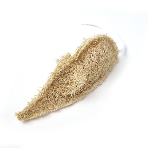 にゃんデント ヘチマでハミガキ ねずみ