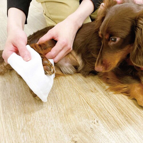 ペット専用ウェットティッシュ 保湿成分プ