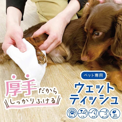 ペット専用ウェットティッシュ 保湿成分プ