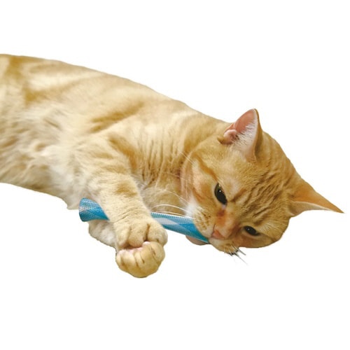 猫ちゃん歯ブラシ かみかみ歯ピカ