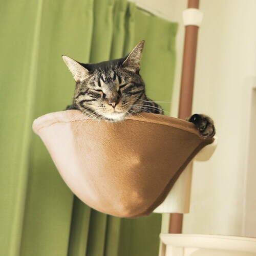 Nekoリビング キャティーポールハンモ