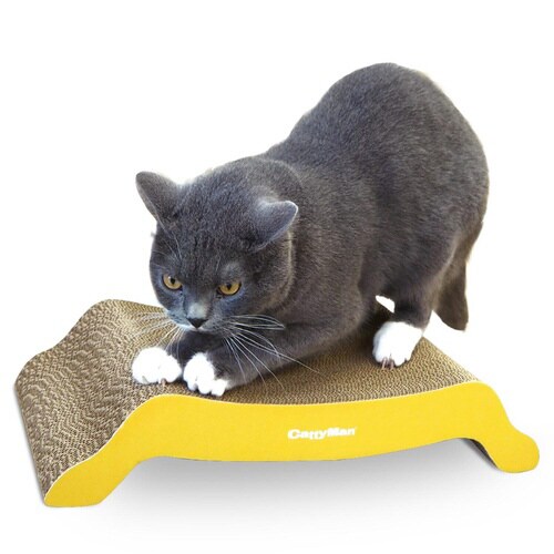 irotogi 猫の爪みがき ぶりっじ×3