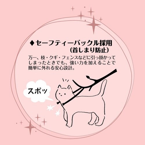 ねこくびわ ル・コリエ メヌエット スタ