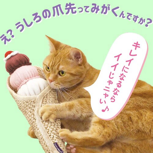 猫のうしろ足爪みがき アイス様