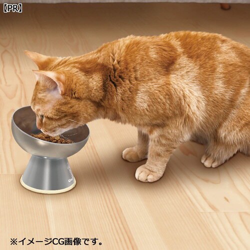 ステンレスのテーブル食器 猫用