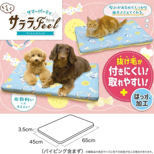 サララFeel マットレスベッド もぐも