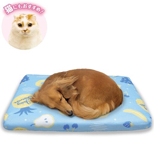 ペットにやさしい高反発ベッド フルーツソ