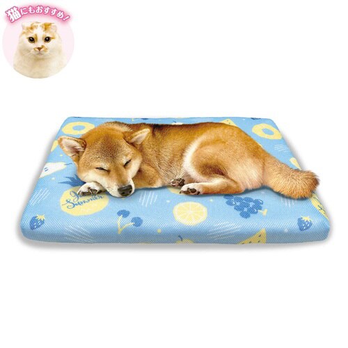 ペットにやさしい高反発ベッド フルーツソ