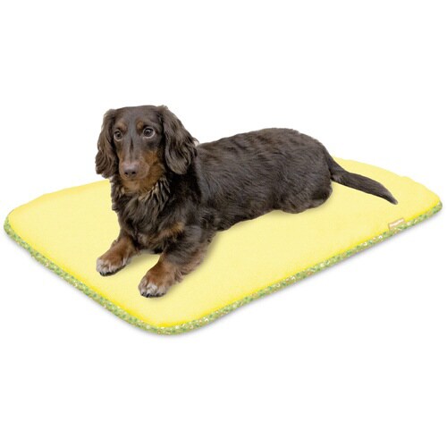 さらふわメッシュ キャンプスタイル イエ