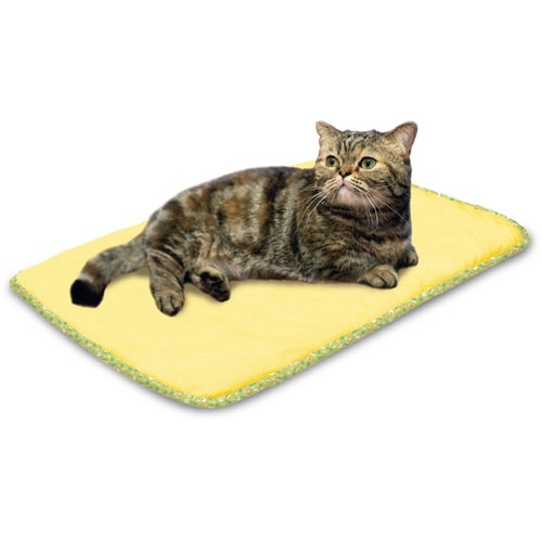 さらふわメッシュ キャンプスタイル イエ