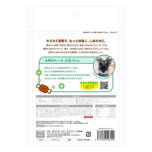 ディンゴすなぎもチキンガム