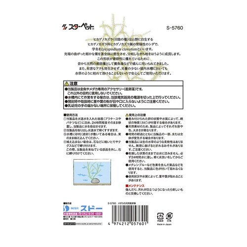 メダカの天然産卵藻