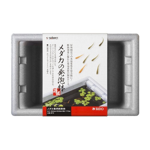 メダカの発泡鉢×6