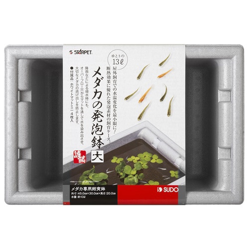 メダカの発泡鉢大×6